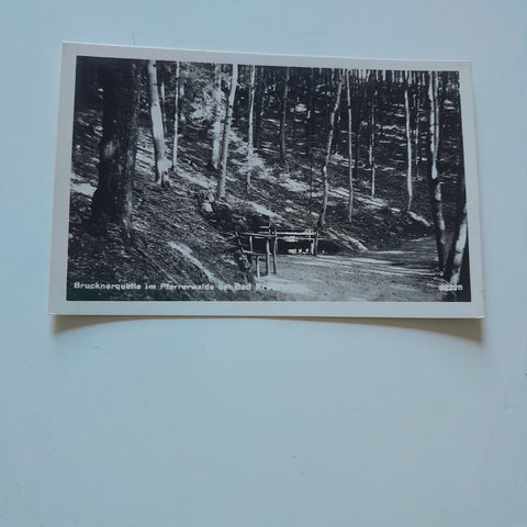 AK Brucknerquelle im Pfarrerwalde bei Bad Kreuzen. (1934)