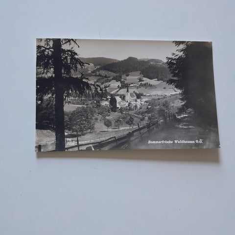 AK Waldhausen.