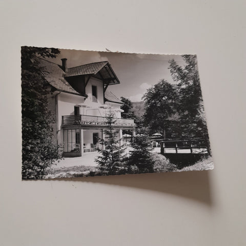 AK Bad Ischl. Pension Wildenstein.