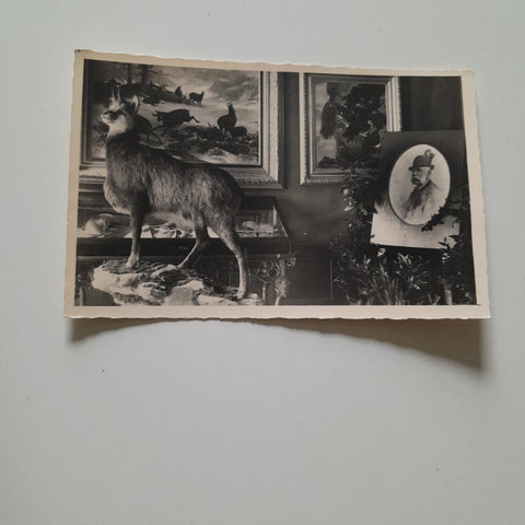 AK Bad Ischl. Kaiservilla.