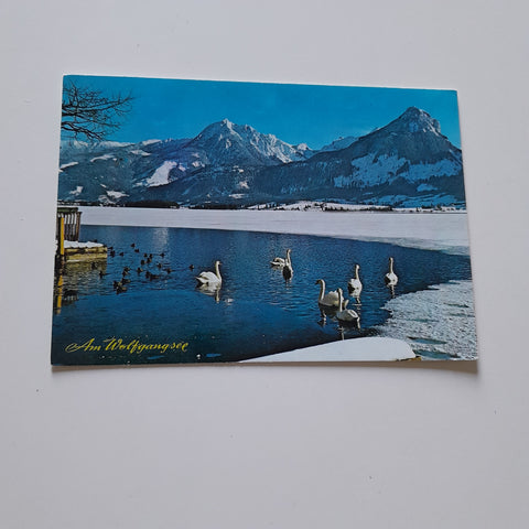 AK Am Wolfgangsee.