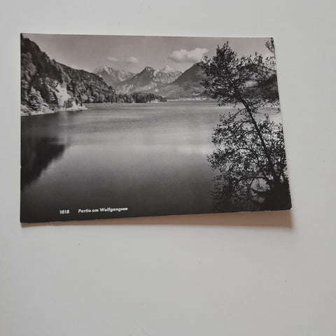 AK Partie am Wolfgangsee.