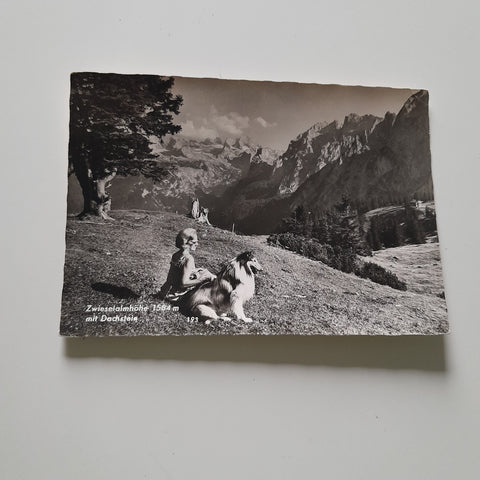 AK Zwieselalmhöhe mit Dachstein.