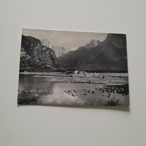 AK Almsee bei Grünau.