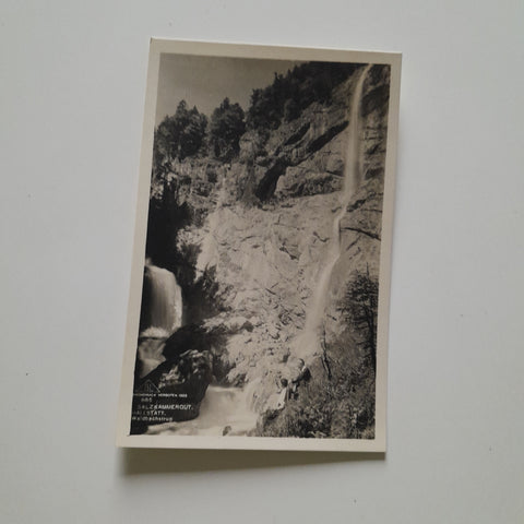 AK Hallstatt. Waldbachstrup.