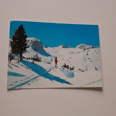 AK Gjaidalm. Obertraun.