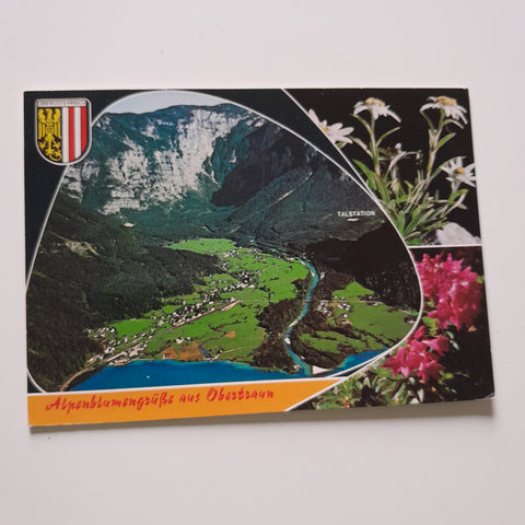 AK Alpenblumengrüße aus Obertraun.