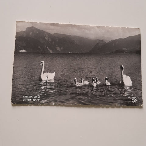 AK Familienausflug am Traunsee.