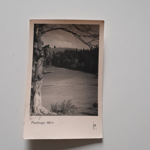 AK Pleschkogel.