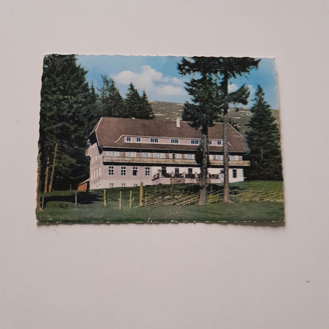 AK Fladnitz an der Teichalm. Alpengasthof Pierer. Teichalpe.