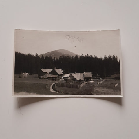 Muster-AK Teichalpe, Gasthof Vorauer mit Osser.