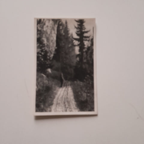 AK Hochlantsch - Aufstieg. (1928)