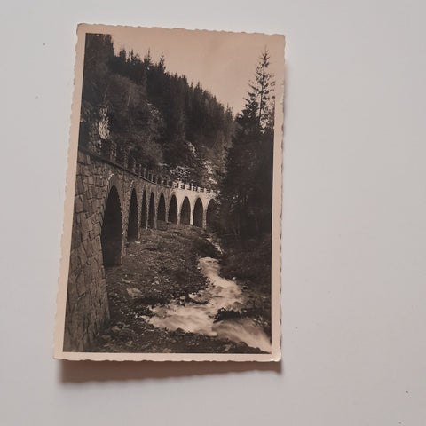 AK Auf der Schweizerklamm bei Neumarkt.