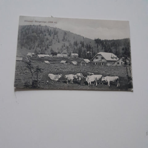 AK Aflenzer Bürgeralpe. (1911-12)