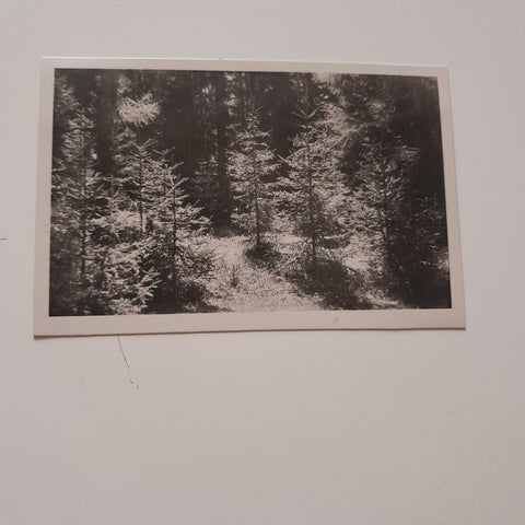 AK Verein Erholungsheime Graz. Alpenheim Eibisberg bei Weiz. Eingang zum Paradies.