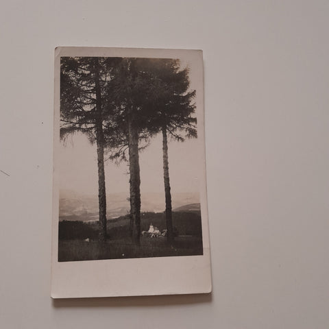 AK Heim Eibisberg des Vereines Erholungsheime. Eibisberg.