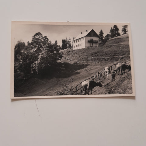 AK Alpenheim Eibisberg bei St. Kathrein am Offenegg.