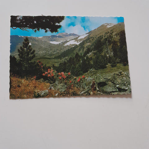 AK Zirbitzkogel mit Lavant-Ursprung.