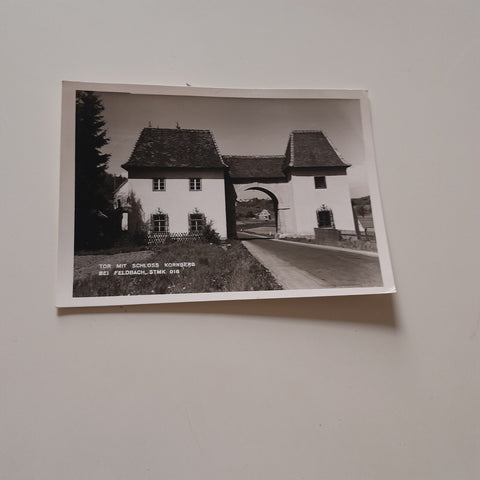 AK Feldbach. Tor mit Schloss Kornberg.
