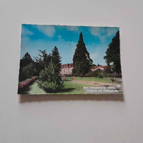 AK Bad Gleichenberg. Kurpark mit Wellingtonia.