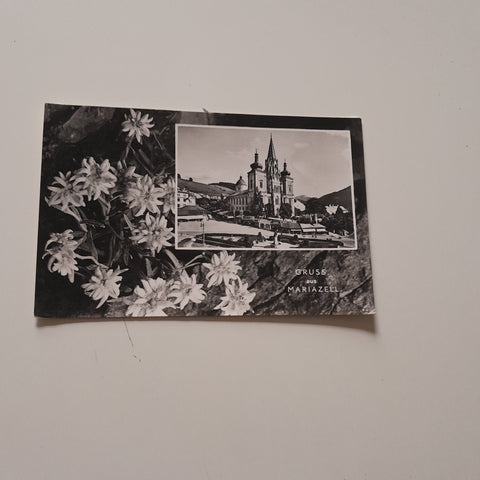 AK Gruss aus Mariazell.