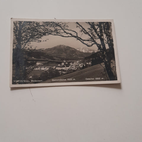 AK Mariazell.