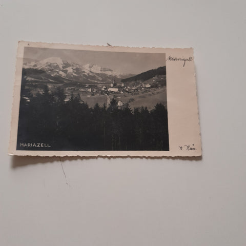 AK Mariazell.
