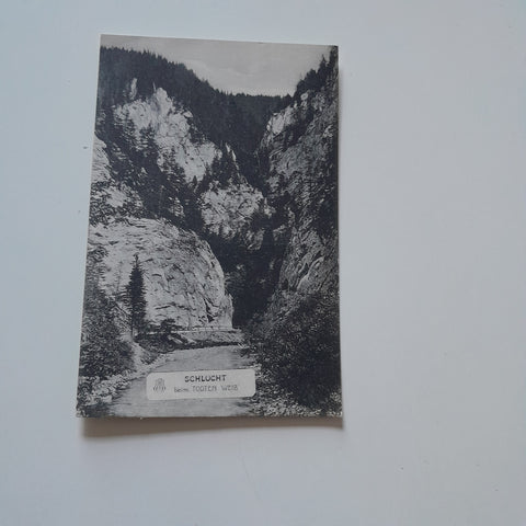 AK Schlucht beim Todten Weib (1911)