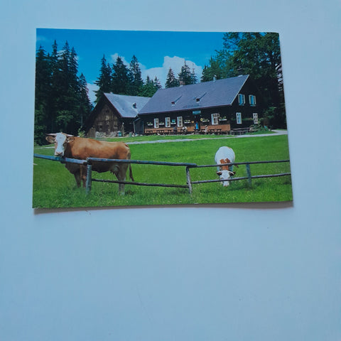 AK Gasthaus Schweizeben. Bruck/Mur.