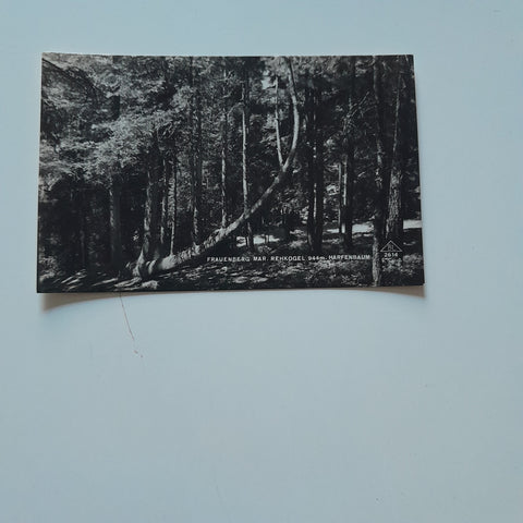 AK Frauenberg Maria Rehkogel. Harfenbaum. (1934)