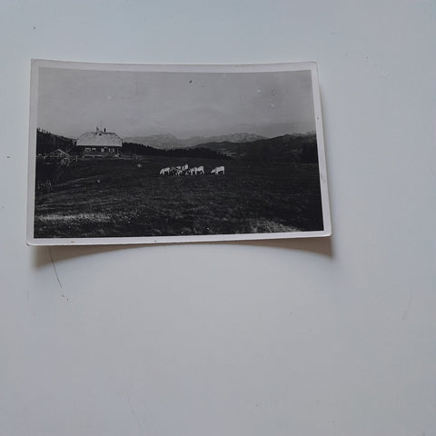 AK Hochanger Schutzhaus Naturfreunde.