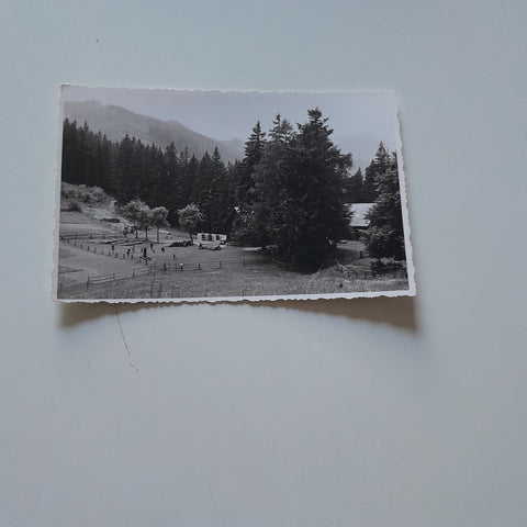 AK Anton Merl Gastwirtschaft Schweizeben bei Bruck an der Mur.