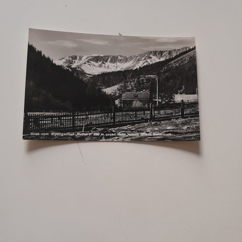 AK Blick vom Alpengasthof Radwirt gegen Hohe Veitsch. (1939)