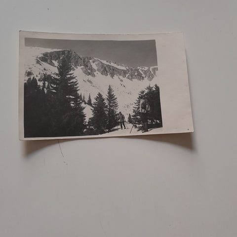 AK Bei der Hohen Veitsch (Hüttenstempel vom Graf Meran Haus an Rückseite)
