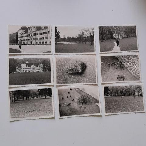 9 kleine Fotos Graz Schloß Eggenberg.
