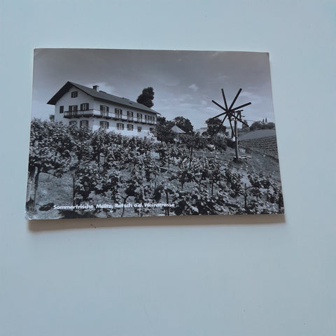 AK Weingut Rebenburg Maitz, Ratsch an der Weinstrasse. Stermitzberg.