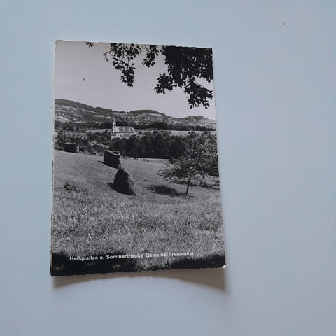 AK Heilquellen und Sommerfrische Gams ob Frauenthal.