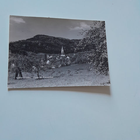 AK Gams ob Frauenthal.