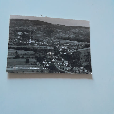 AK Sommerfrische und Heilquellen Gams.