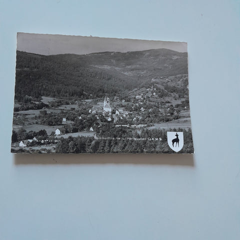 AK Sommerfrische und Heilquellen Gams.