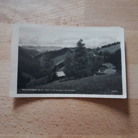AK Waldheimat Alpl. Blick gegen Hochschwab.