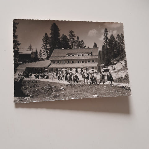 AK Neues Schönberghaus Mittelstation Dachsteinhöhlen.