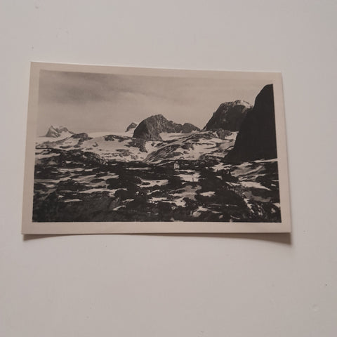 AK Naturfreundehaus am Dachstein. Wiesberghöhe.