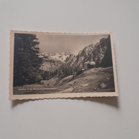 AK Zwieselalpe mit Dachstein. (1931)