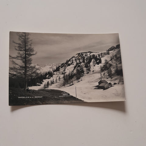AK Zwieselalm mit dem Dachstein. (1929)