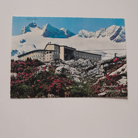 AK Berghaus Krippenstein.