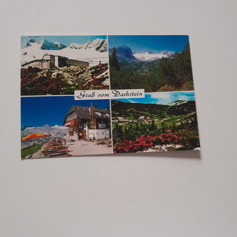 AK Gruß vom Dachstein.