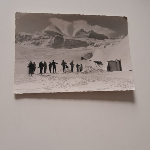 AK Skiparadies Krippenstein m. König Dachstein.