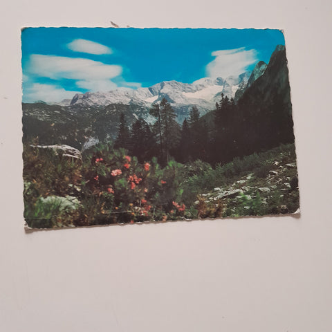 AK Blick auf den Dachstein.