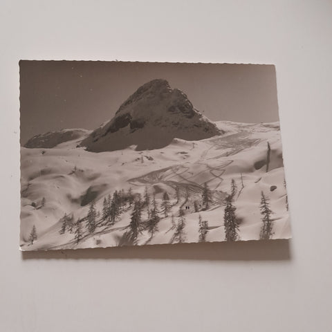 AK Däumelkogel mit Standardabfahrt vom Berghaus Krippenstein.